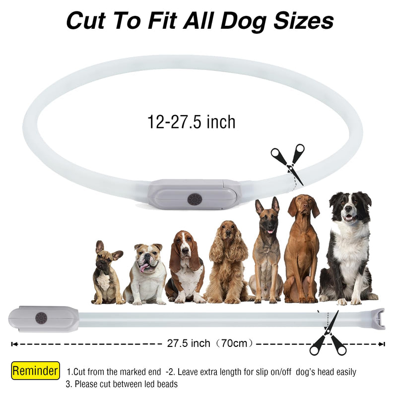 Dog Light Up Collar,Multicolor LED Dog Collar Rechargeable USB C,Rainproof Lighted Dog Glow Collar for Night Walking Cuttable for Large Medium Small Dogs Pet - BeesActive Australia