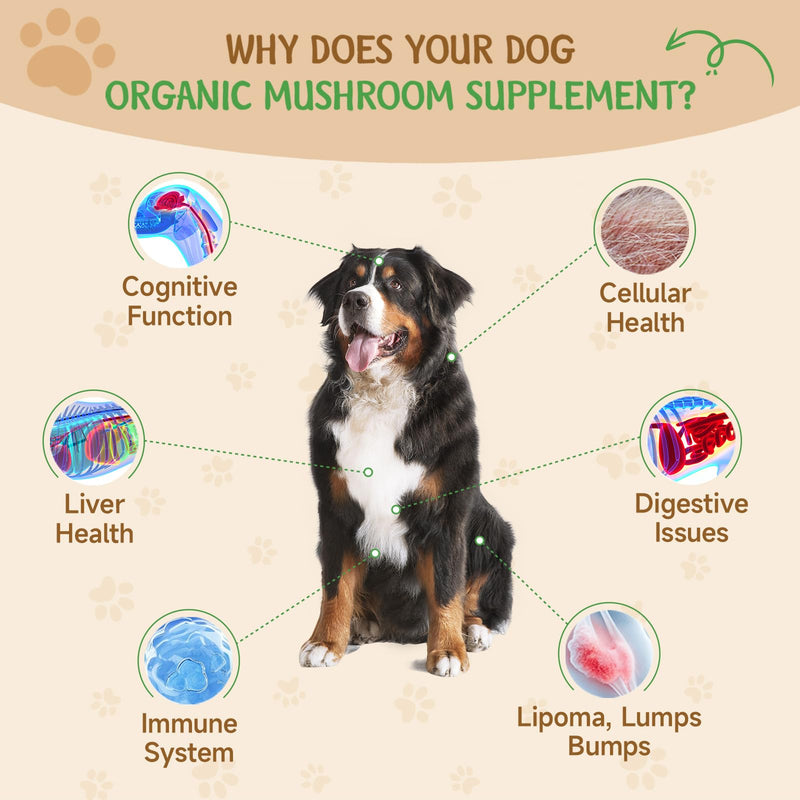 9 in 1 Mushroom Supplement for Dogs - Turkey Tail Mushroom for Dogs - Dog Lumps and Bumps Treatment - Digestive, Cellular, Immune Health Support - Reishi, Lions Mane, Shiitake - Roast Chicken Flavor