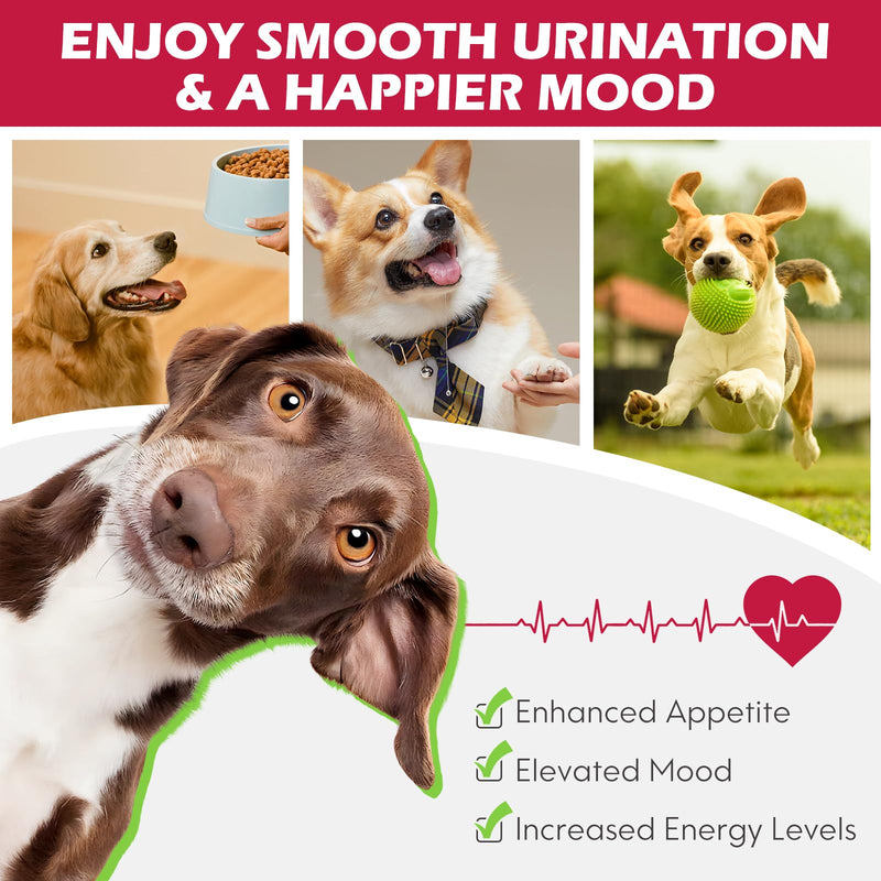 Urethral Therapy for Dogs, Dog Urinary Tract Infection Treatment Drops, Supports Bladder Supplement, Prevention Incontinence & Bladder Stones, Keep Pet Kidney Health & UTI Care - BeesActive Australia