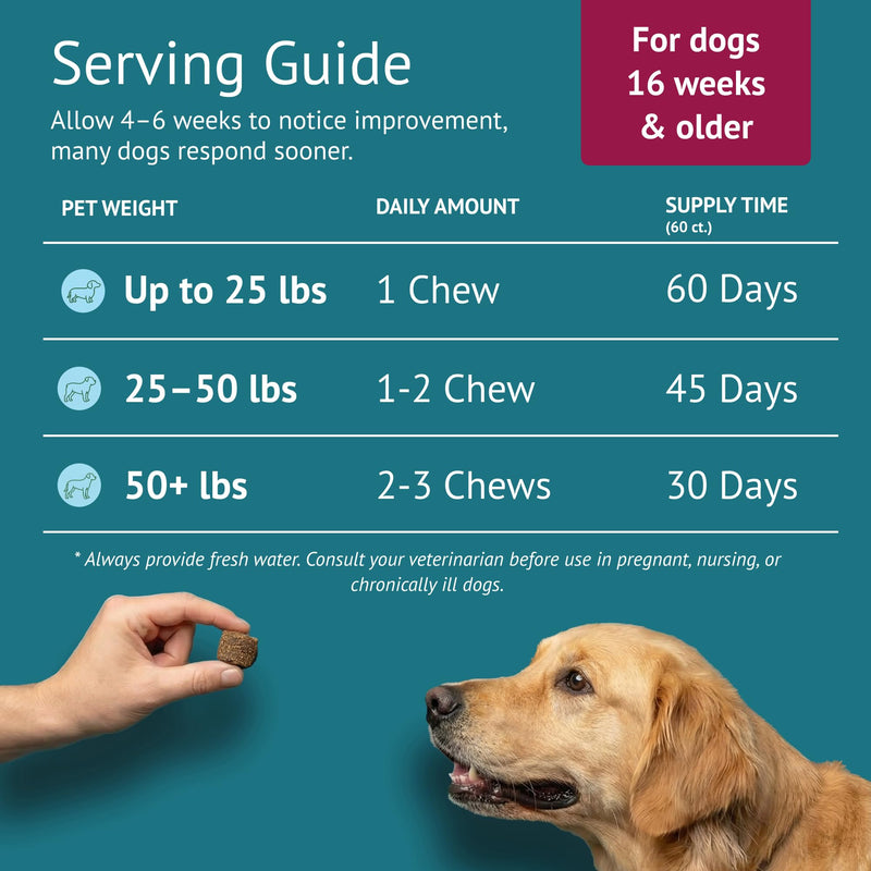 Dog Skin and Coat Supplement Chews - Omega-3 Fish Oil, EPA & DHA, Biotin, Vitamin A & D3 - Coat Shine, Skin Hydration, Shedding & Itch Relief - Made in USA - 60 Count Skin & Coat