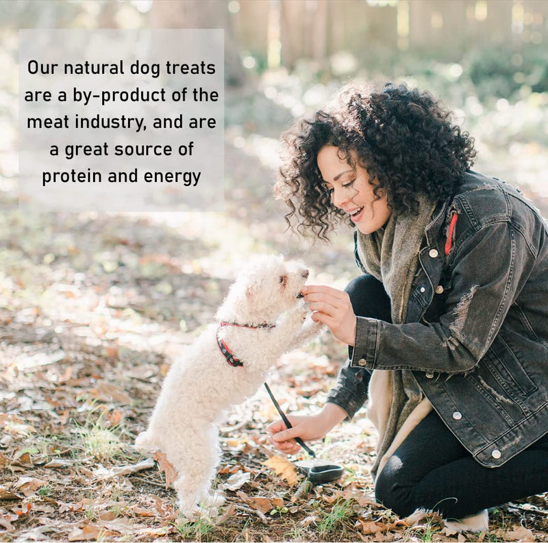 Maltbys' Stores 1kg Luxury Fish Calming Treats for Dogs with Hemp & Chamomile 100% Natural Fish Dog Treat Chews