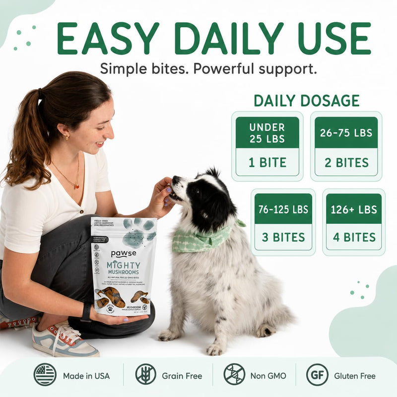 Pawse Mighty Mushroom Chews Supplement for Dogs & Cats | Blend of Turkey Tail, Reishi, Chaga, Maitake & Shiitake | for Immune System, Lumps & Bumps, Gut Health & Skin Support | 60 Chews