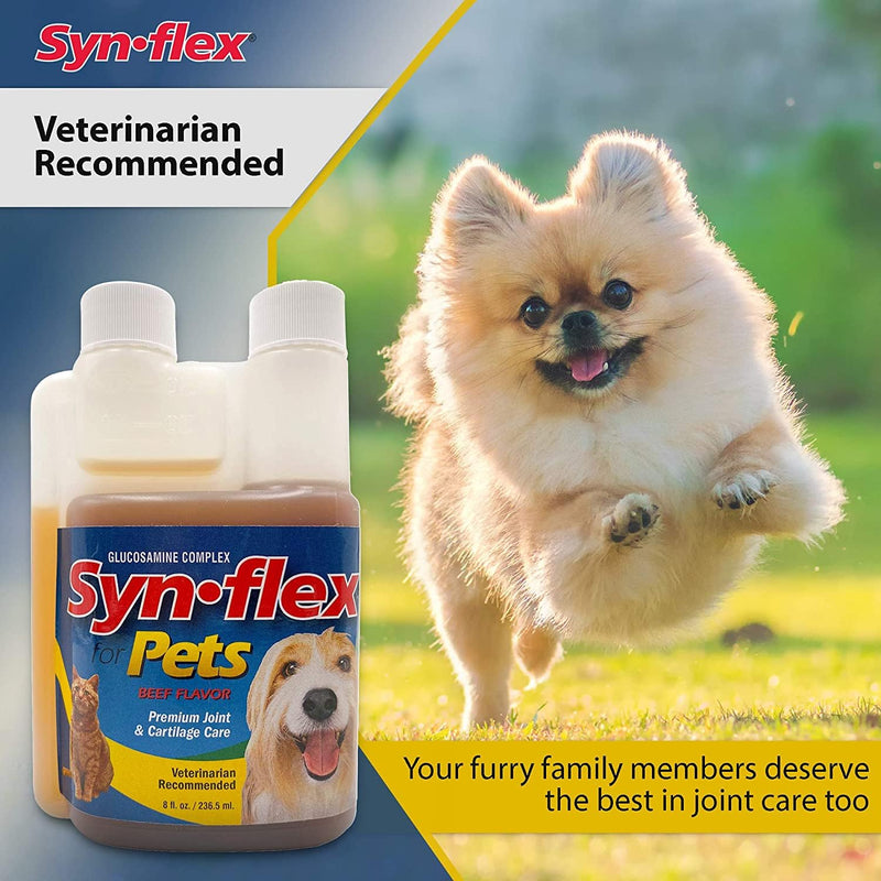 America Synflex for Pets - Liquid Glucosamine Joint Complex for Dogs, Cats - Senior Canine & Feline Chondroitin Juice Care Supplement - Helps Support Joint and Cartilage Health - Beef Flavor - PawsPlanet Australia