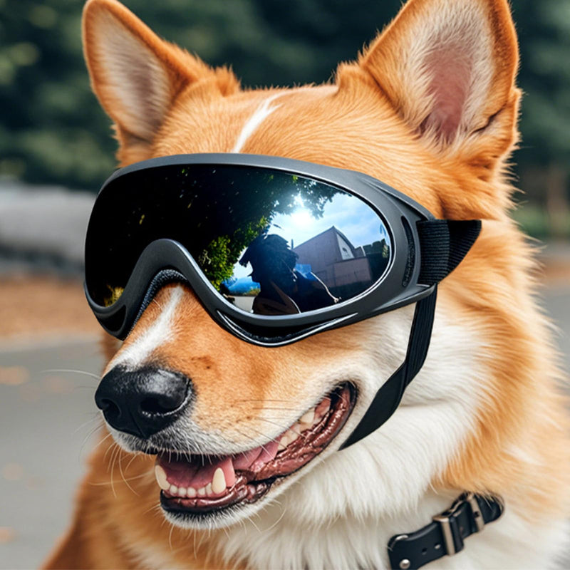 Shockproof Dog Eye Protectors Sunglass with Flexible Frame Adjustable Strap Pet Goggles for Ski Mountain Hiking Gear PC TPU Dog Goggles Transparent lenses