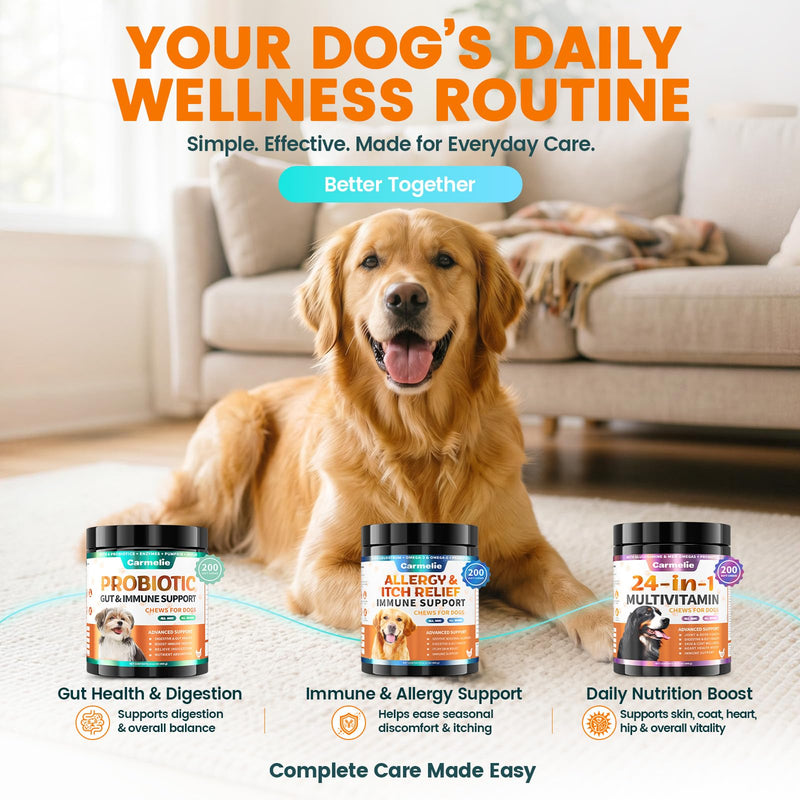 Probiotics for Dogs, Dog Probiotics for Yeast, Itchy Skin and Itchy Ears, Allergies, Immunity, Dog Gut Health Probiotic for Digestive Enzymes & Prebiotics for Diarrhea & Gas Relief (Chicken, 200 Chew)