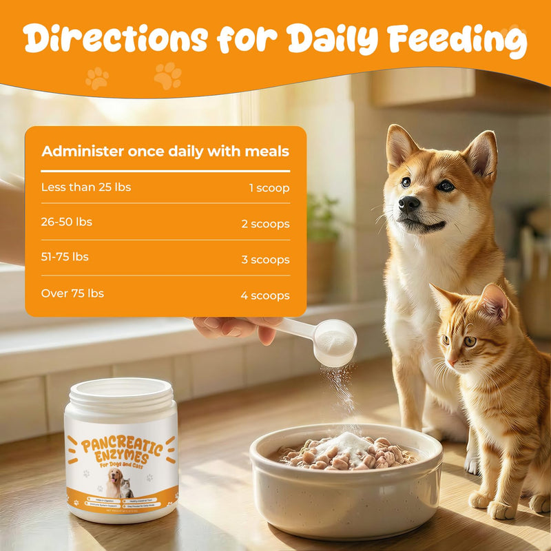 Pancreatic Enzymes for Dogs, Pancreatin Digestive Enzyme Powder for EPI Support, Porcine Pancreatin with Amylase, Protease & Lipase, Helps Maintain Digestion, Stool Consistency & Weight Balance – 2 oz