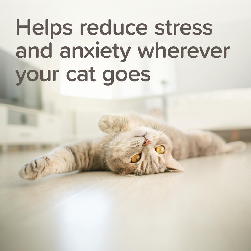 Beaphar – StressLess Herbal Calming Spot-On for Cats – Reduces Stress & Anxiety at Home and On-the-Go – With Valerian Extract – For Cats & Kittens – 3 x 1 Week Doses –Easy-to-Use Spot-On Pipettes 3 Count (Pack of 1)