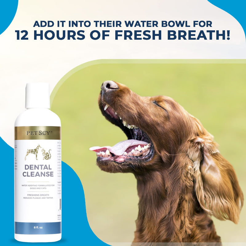 Petscy - Dental Cleanse, All-Natural Cat & Dog Tartar Remover for Teeth, Cat & Dog Water Additive for Dental Care, Suitable for All Ages, Breeds & Sizes, 8 Oz - PawsPlanet Australia
