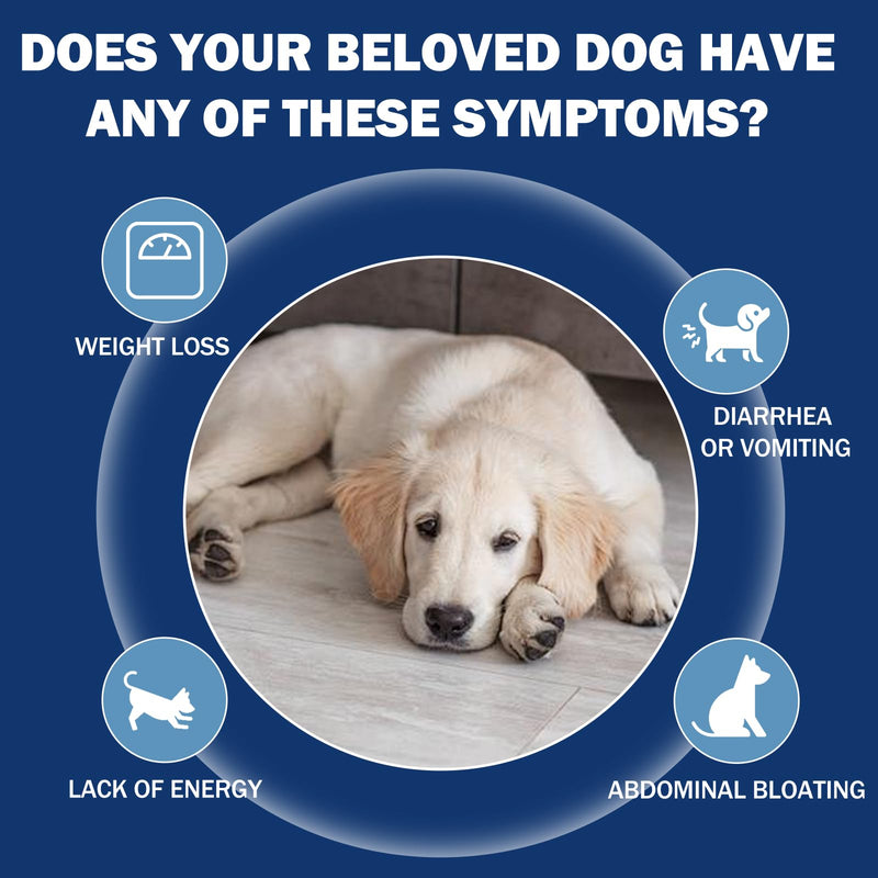 lvermect Tablets for Dogs 7.5mg – 100 Chewable Tablets for Gut Health & Digestive Support, Monthly Wellness Supplement for Small Medium Large Dogs, Support Immune Balance & Comfortable Digestion