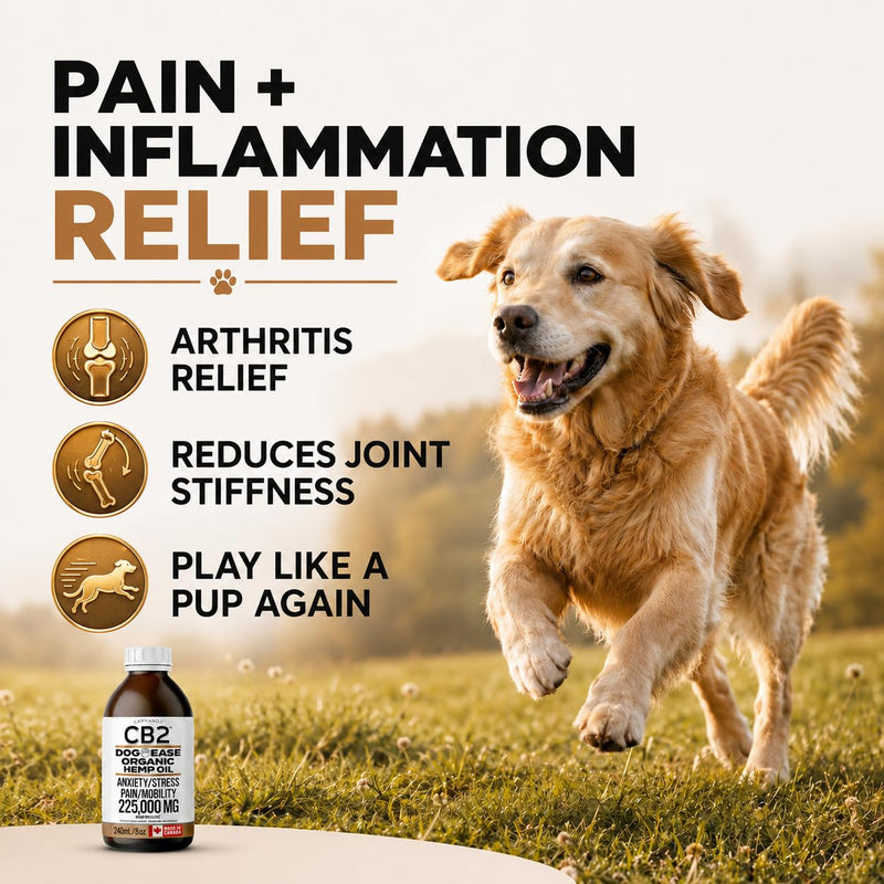 CB2 HEMP SEED OIL FOR DOGS. Extra Strength For Pain & Anxiety. Advanced Hip & Joint Supplement. Calming & Relaxing Effect. Improves Mobility. All-Natural. 240mL/8oz EXTRA LARGE Bottle.