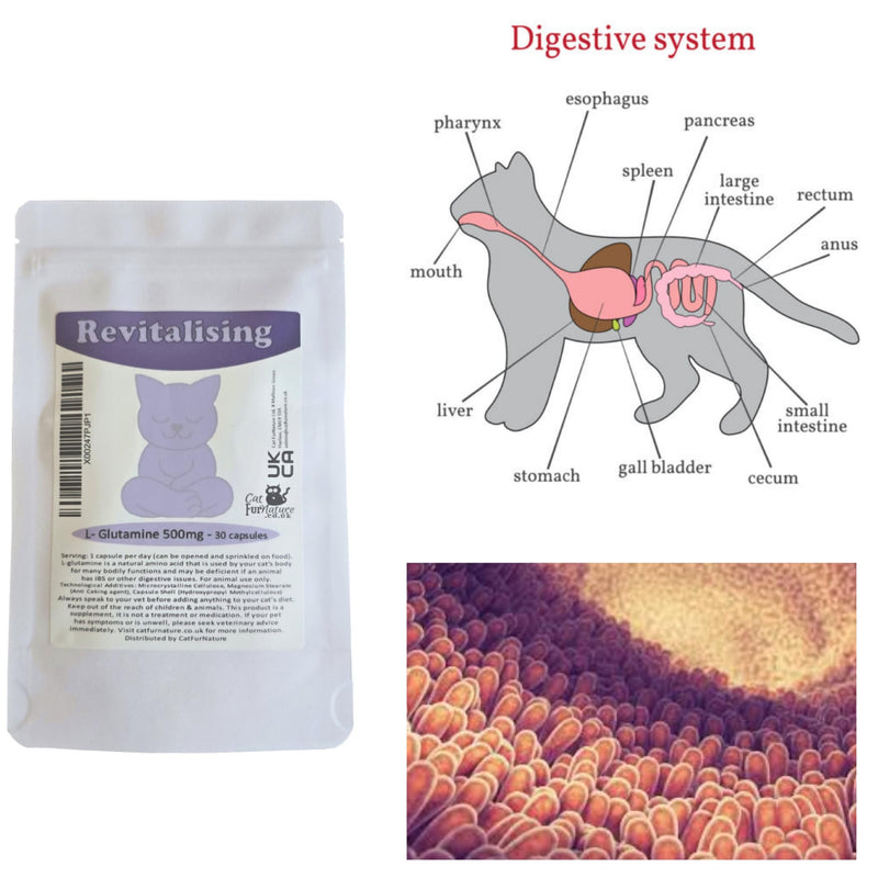Cat FurNature - Revitalising L-Glutamine for Cats (30 servings of 500mg)