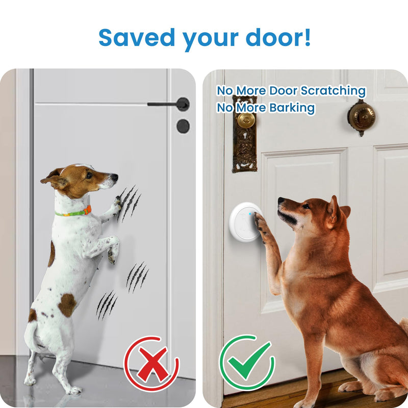 Dog Bell for Door Potty Training, Wireless Doggie Door Bell Operating at 1000 Feet with IP65 Waterproof Touch Button, 32 Melodies 1 receiver + 2 buttons - BeesActive Australia