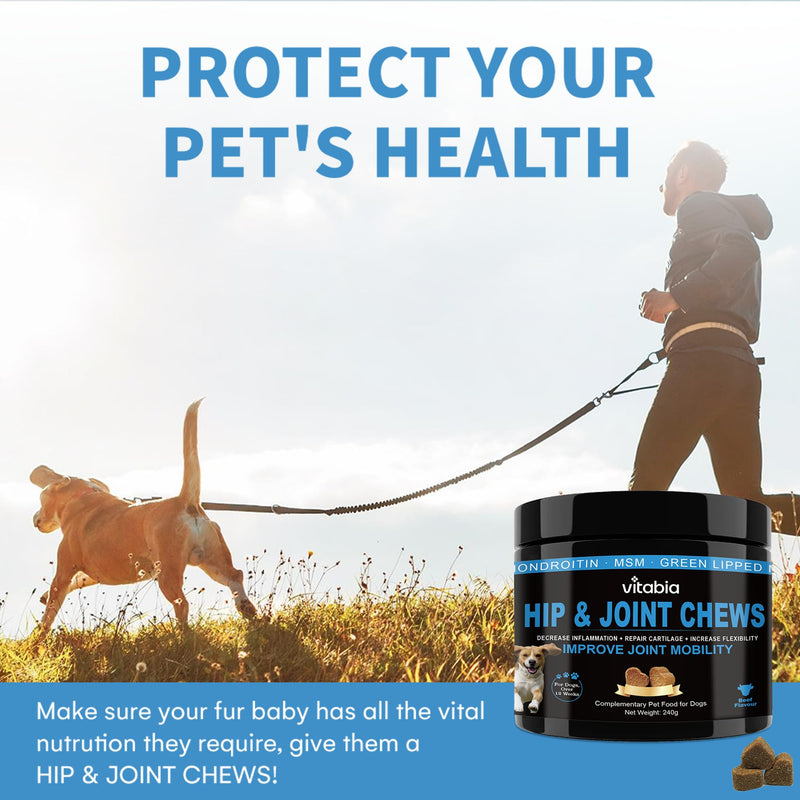 Joint Supplements for Dogs – Dog Joint Care with Glucosamine, Chondroitin, Green Lipped Mussel and Turmeric Dog for Effective Dog Pain Relief – Beef Flavour joint supplements for dogs (120 Count) 120 Count