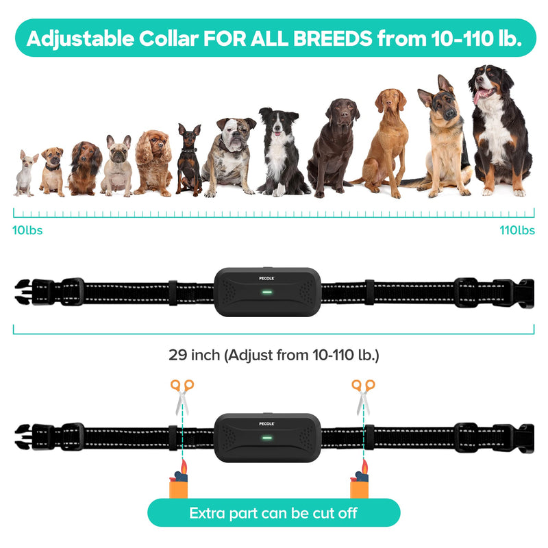 Dog Training Collar with Remote, Shock Collar for Dogs with Vibration and Beep Modes, Rechargeable Transmitter with Security Lock, Waterproof Collar, 99 Adjustable Levels – All Breeds, Sizes PE-18 - BeesActive Australia