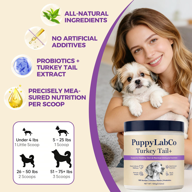 Puppy Lab Co Turkey Tail, PuppyLabCo Turkey Tail Mushroom for Dogs, Turkeytail Mushroom + Probiotics Powder Supplement, Chicken Flavor, Gut & Immune Supports, 100g (1) 1