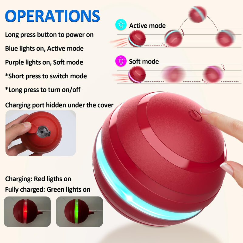 Interactive Dog Balls with Motion Activated, Wicked Ball Squeaky Dog Toy Oxford Bag Keep Dogs Busy (Red Ball) - BeesActive Australia