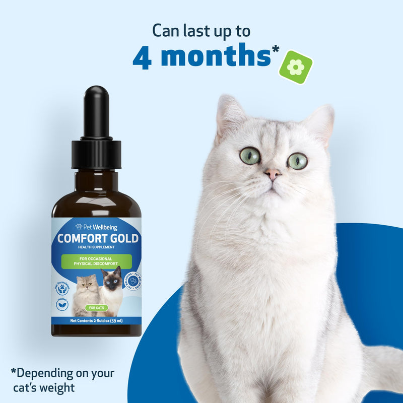 Pet Wellbeing Comfort Gold for Cats - Supports Feline Physical Comfort, Healthy Circulation, Corydalis, Turmeric - Veterinarian-Formulated Herbal Supplement 2 oz (59 ml) 2 fl oz (59 ml) - BeesActive Australia