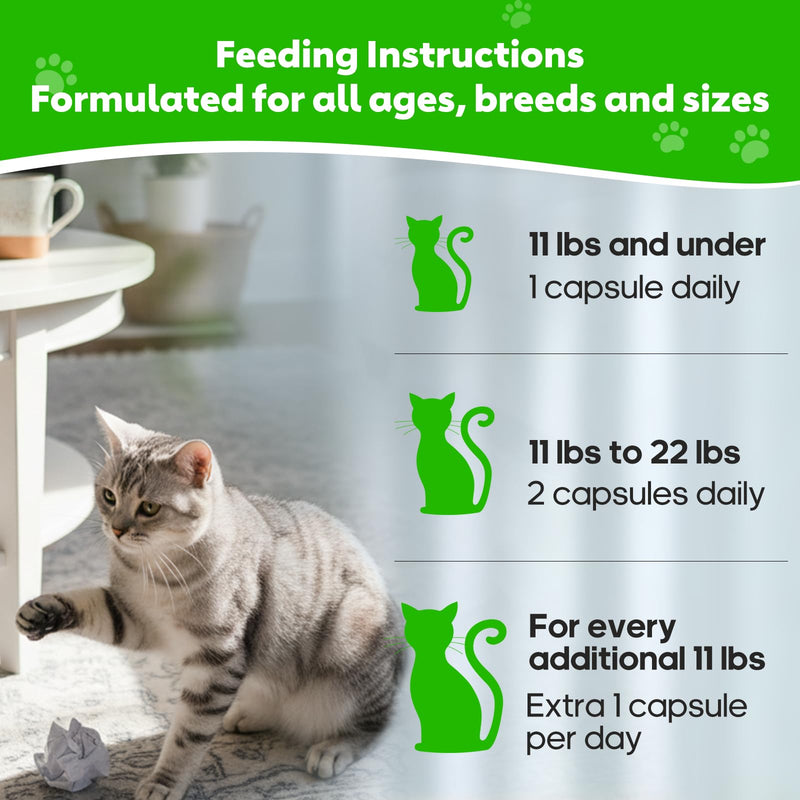 Hairball Relief for Cats, Cat Hairball Remedy, Cat Hairballs Control with Psyllium Seed Husk and Vitamins, Helps Eliminate & Prevent Hairballs, Supports Healthy Digestion & Coat, 100 Capsules