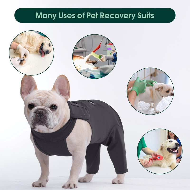 Kuoser dog bodysuit after surgery, dog bodysuit after surgery body for dog castration male dog, dog recovery suit, dog leg protection bodysuit, anti-wound licking surgery body dog, dog neck brace alternative, gray 2XL XXL (chest: 75-93cm) gray - BeesActive Australia
