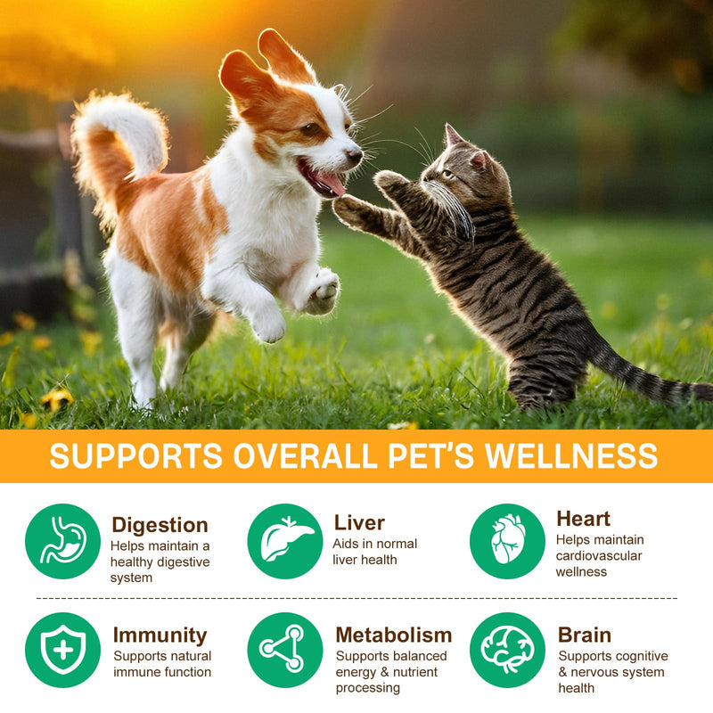 Mushroom Supplement Powder for Dogs & Cats, 11 Beneficial Mushroom Complex for Immune Support, Cellular Protection, Heart & Brain Health Lion's Mane, Reishi & Turkey Tail, Bacon Flavor - 120g 120 g (Pack of 1)