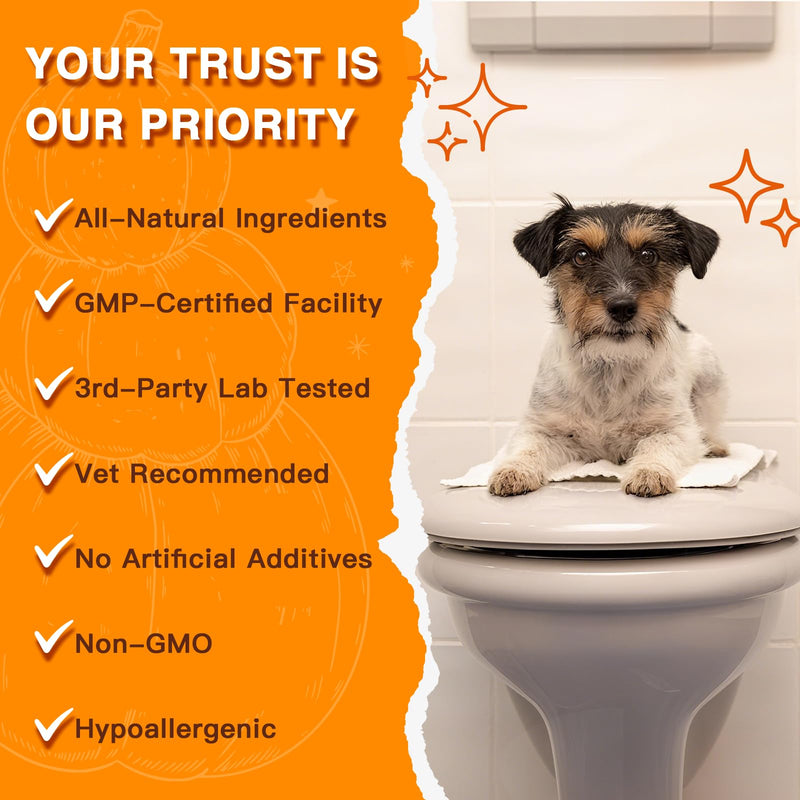 DRFOSTER Pumpkin Powder for Dogs - Fiber Supplements for Dogs & Cats with Organic Pumpkin, Apple, Carrots and Digestive Enzymes - Healthy Stool and Digestion, Diarrhea & Constipation Relief, 10.58 oz 60 Scoops