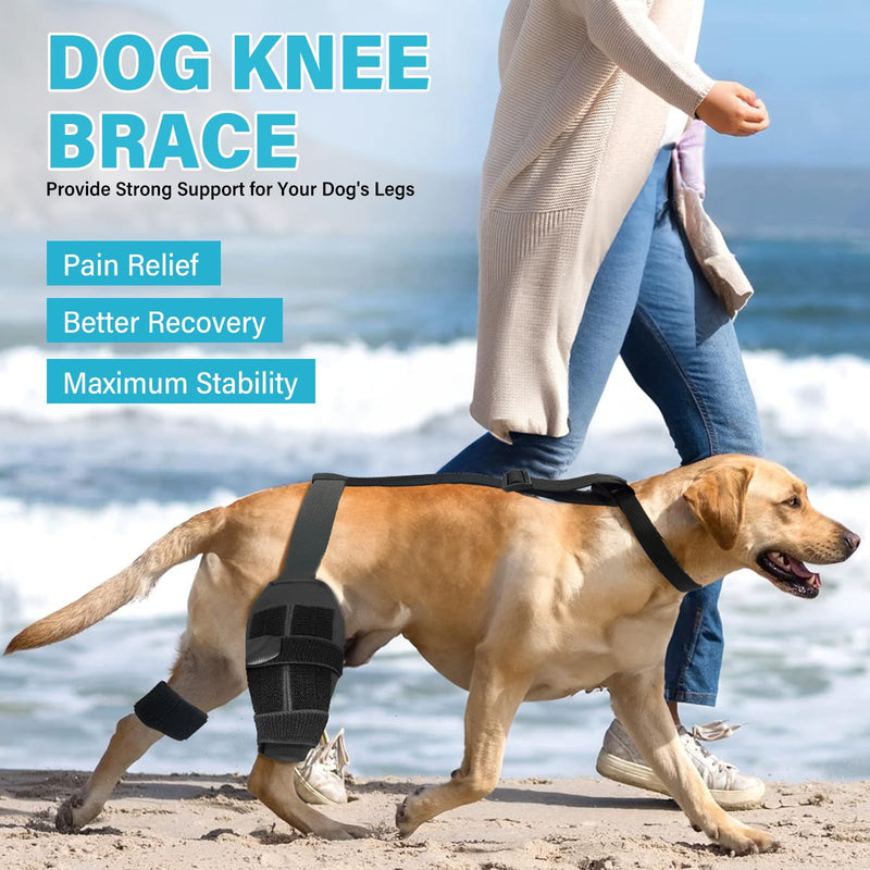 Dog Knee Leg Brace - Dog Knee Brace for Torn ACL Hind Leg, Dog Leg Braces for Back Leg & Front Leg, ACL Tear Leg Support, Comfortable and Adjustable, Size M Black(Dog Leg Brace) - BeesActive Australia