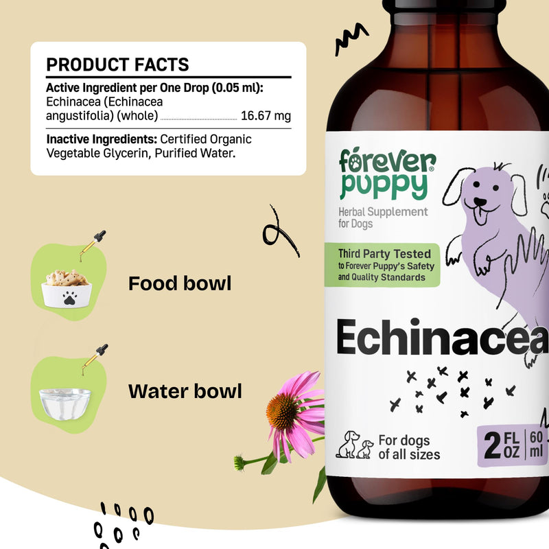Echinacea Drops for Dogs - Respiratory Health & Immunity Support w/Echinacea Herb Tincture - Liquid Immune Support Supplement for Dogs of All Breeds & Sizes - 2 oz 2 fl oz - PawsPlanet Australia