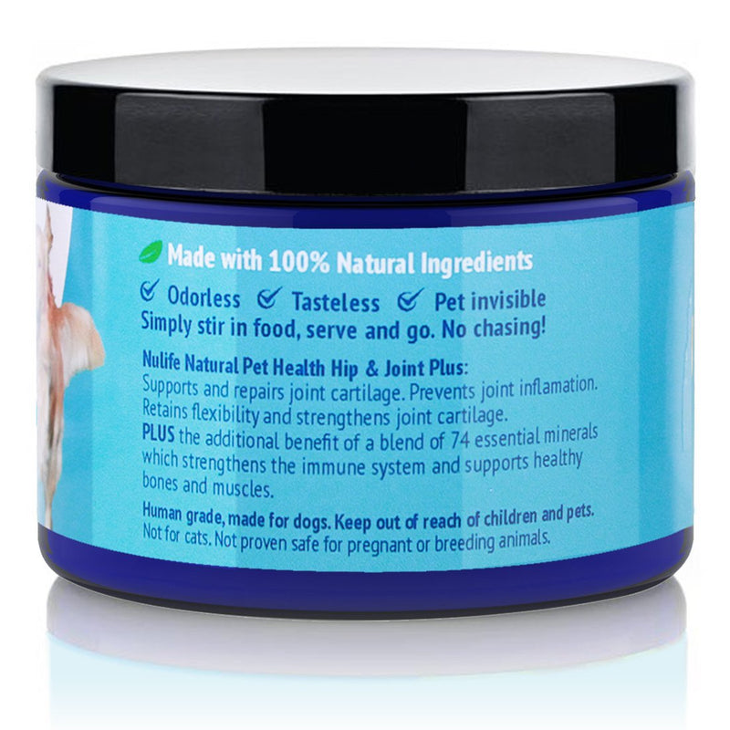 Advanced Glucosamine Powder for Dogs for Arthritis Pain Relief & Hip Dysplasia, Supports Joint Health & Reduces Inflammation with Glucosamine, Chondroitin, MSM & Coral Calcium, 6oz Powder - BeesActive Australia