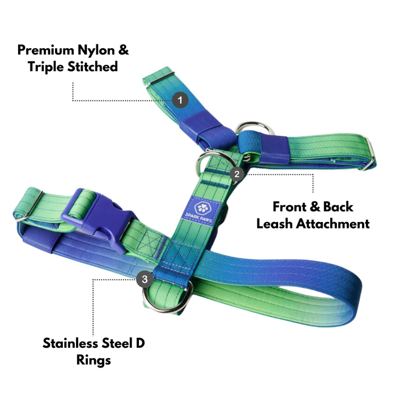 Spark Paws No-Pull Dog Harness - Designed for Safety and Control, Ideal for Large, Strong Breeds - Pitbulls, Boxers - Lime Wave - L Size L [80-150lbs] - BeesActive Australia
