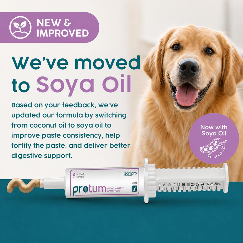 Protum Probiotic Paste for Dogs - 30ml Advanced Prebiotic Formula for Digestive Support - Tasty Flavour for Canine Gut Health - Aids Digestion, Diarrhea Recovery, and Wellness Original 30cc (ml)