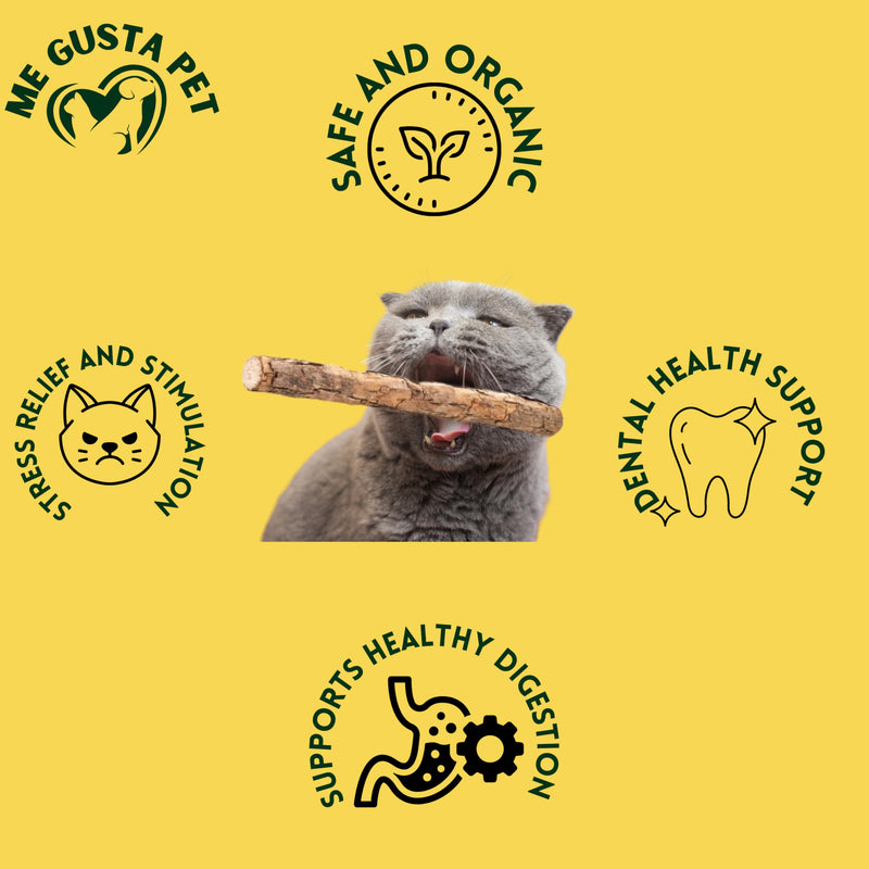 Cat Toys Silvervine Sticks for Cats | Matatabi Cat Chew Stick | Cat Toy Catnip Sticks Organic Cat Chew Toys | Wooden Stick Kitten Teething | Silvervine Sticks for Cat (Pack of 30) - BeesActive Australia