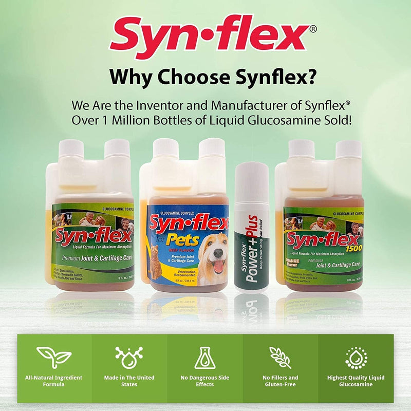 America Synflex for Pets - Liquid Glucosamine Joint Complex for Dogs, Cats - Senior Canine & Feline Chondroitin Juice Care Supplement - Helps Support Joint and Cartilage Health - Beef Flavor - PawsPlanet Australia
