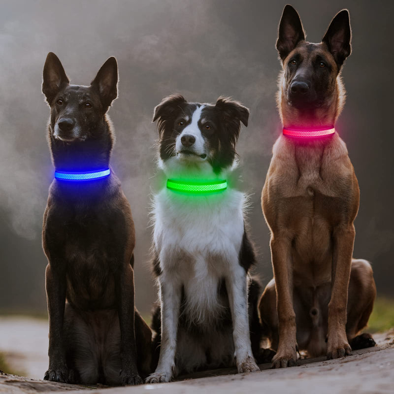 Luminous Dog Collar, Colaseeme LED Dog Luminous Collar, Waterproof Dog Collar, Luminous, Dog Luminous Collar, Rechargeable for Pet Night Walking Safety, Green L Large (15.4"-23.6"/39-60 cm) - BeesActive Australia