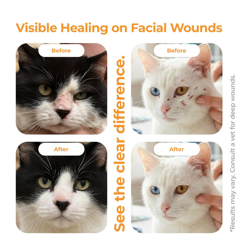 Feline Facial Therapy Solution Healing Aid & Skin Repair for Cat Acne, Eye & Ear Irritations, Chin Sores, Redness & Allergies | Gentle Non-Toxic HOCl Drops | 3.38 fl oz