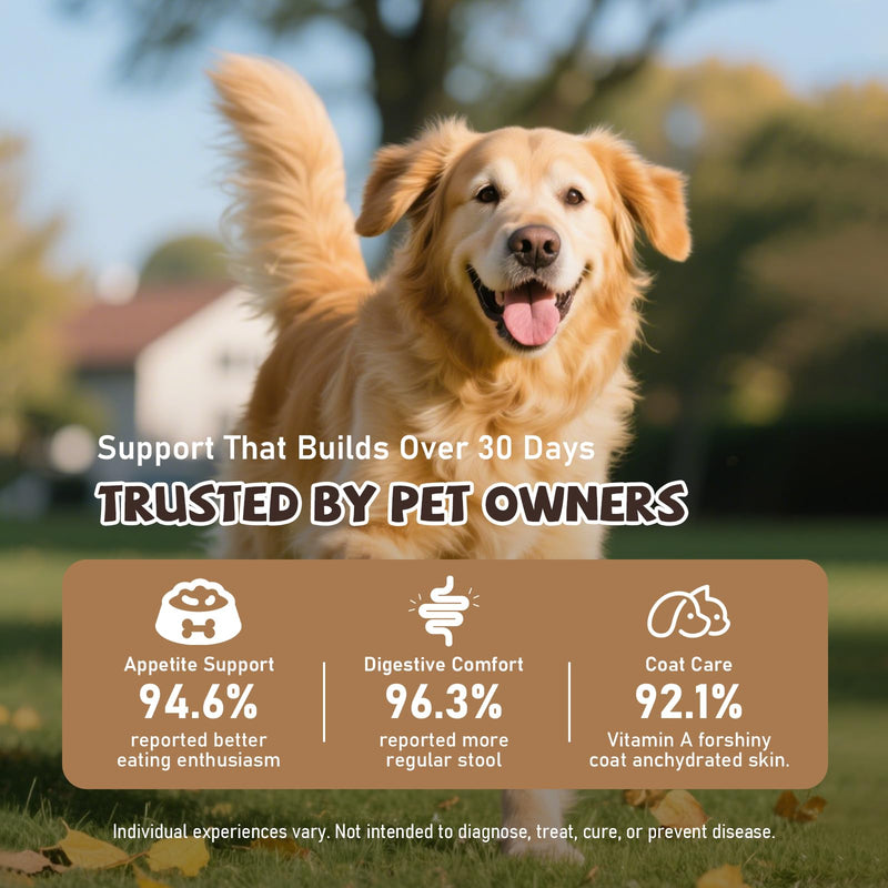 DM-01 Daily Multivitamin for Dogs - Advanced Hip & Joint Support, Boosts Immune System & Digestion, Promotes Skin, Coat & Organ System Health, Enhances Activity & Mood, 60 Chews