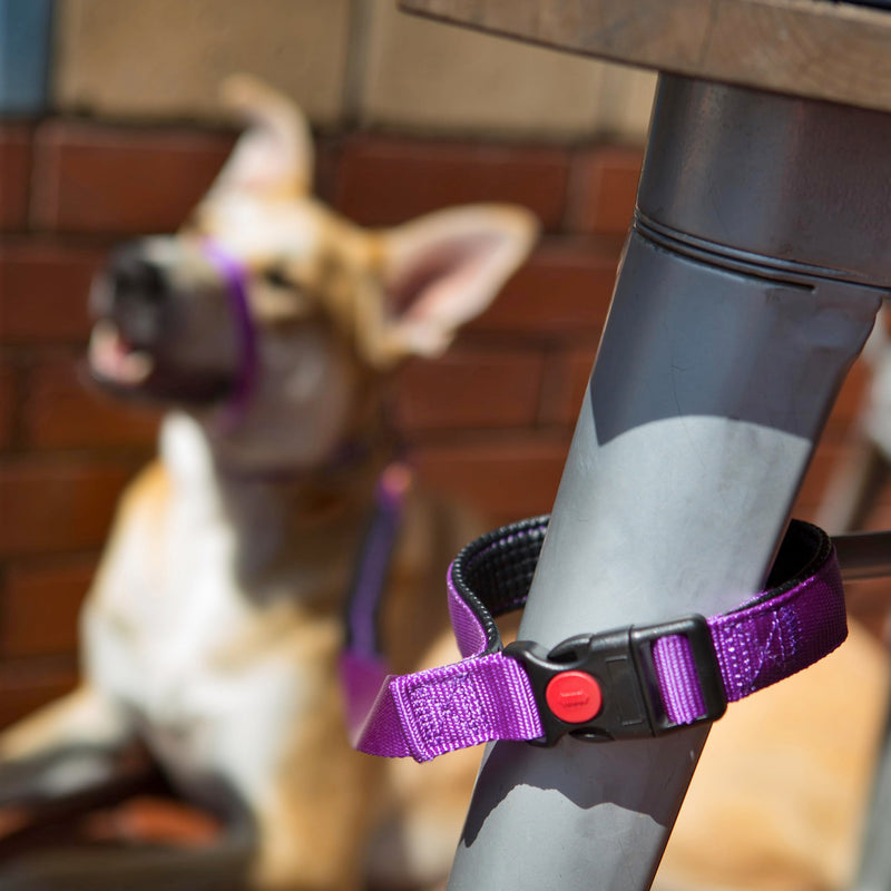 Canny Connect Dog Lead Lead with Soft Padded Handles, Padded Grip and A Secure Clip, Secure Your Dog Without Needing to Remove The Lead - Purple M/L - 25mm wide (1"), 120cm length (4ft) - BeesActive Australia