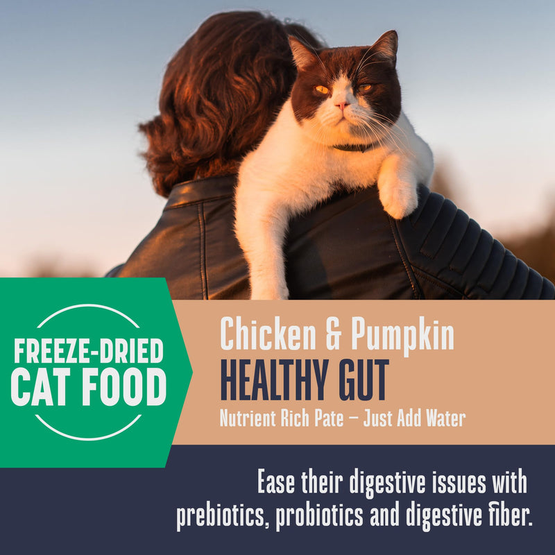 Whole Life Pet Healthy Gut Daily Cat Supplements, Cat Probiotics for Constipation Relief, Anti Diarrhea, Vomit Remedy & Digestive Support, Pumpkin Puree for Cats, Cat Health Supplies - 30-Day Supply Gut Health - BeesActive Australia