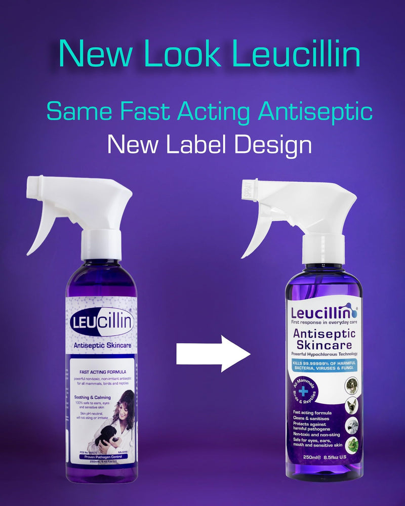 Leucillin Natural Antiseptic Spray - Antibacterial Antifungal Antiviral for Dogs Cats All Animals Itchy Skin Minor Wound Care and Skin Health | 250ml 250 ml (Pack of 1)