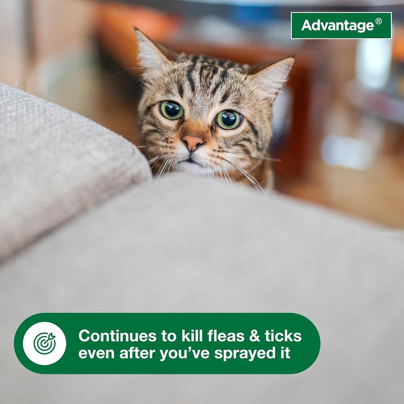 Bundle of Advantage II Vet-Recommended Flea Treatment & Prevention | Cats Over 9 lbs. + Advantage Carpet & Upholstery Spot Spray 16 oz. Large Cat + Household Spray