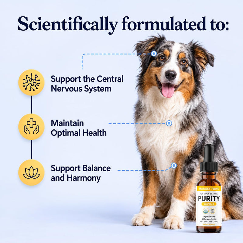 Honest Paws Hemp Oil for Dogs - Natural Hemp Seed Oil Drops Rich in Omega 3 6 9 - May Help Support Calm Behavior, Physical Comfort & Overall Wellness - Made in USA Level 2