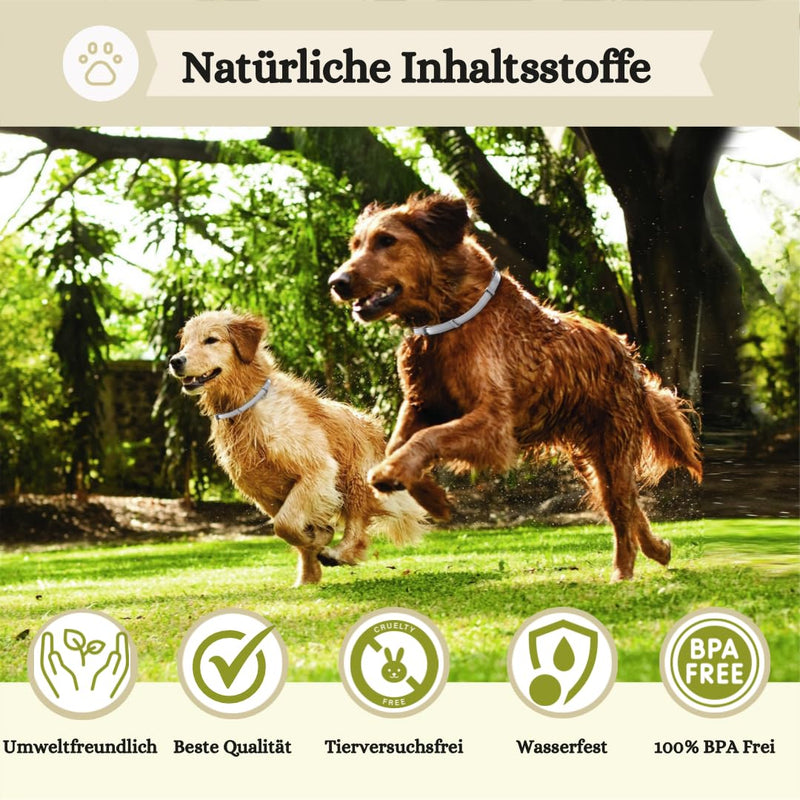 Animalea® tick collar for dogs (2 pieces) 100% natural ingredients & no chemicals - effective protection against ticks, fleas, mosquitoes, lice and vermin for up to 16 months - BeesActive Australia