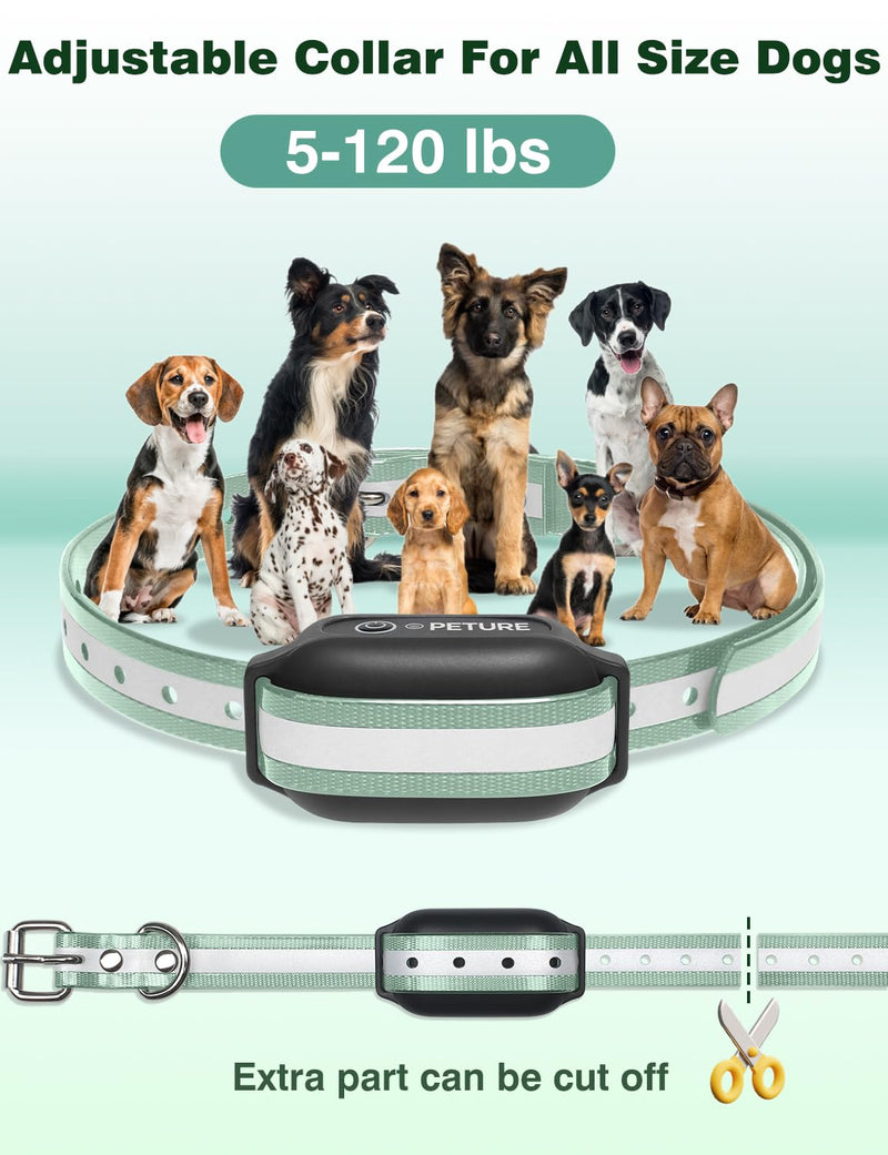 Dog Training Collar, 3300Ft Range Bark Collar with Beep Vibration & Static Mode, Safety Lock & FlashLight E Collar, IPX7 Waterproof Training Collar for 7-120lbs Small Medium Large Dogs (2 Pack) - BeesActive Australia