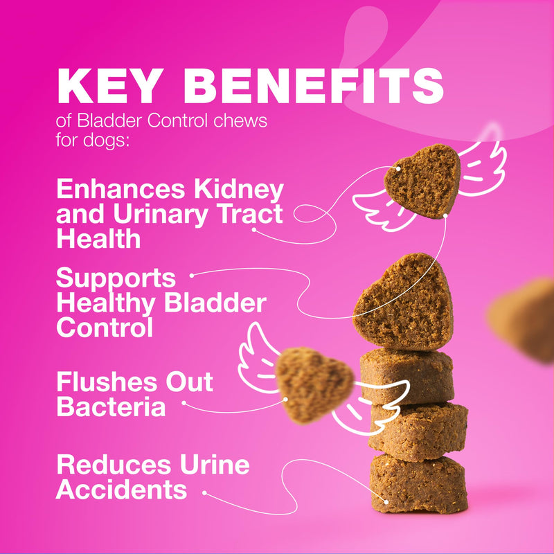 Dog UTI Treatment - Dog Cranberry Supplement for Bladder & Kidney Health, Urinary Tract, Incontinence Support - Cranberry Supplement for Dog Incontinence - Bladder Control Cranberry Chews Duck 180 count - PawsPlanet Australia