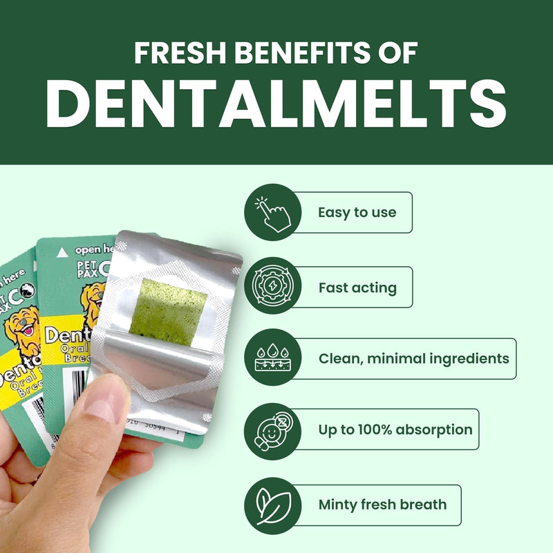 Bad Breath Oral Support for Dogs 5 in 1 – 10 Oral Melts – Natural Sage, Spirulina, Apple Cider Vinegar – Dog Dental Care Products & Breath Freshener – Fast Dissolving Dog Breath Treats 10 Strips