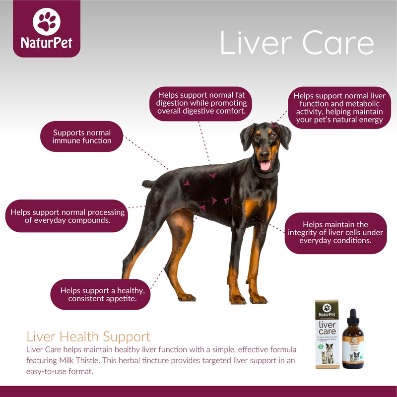 Liver Care for Cats and Dogs | Liver Health & Detox Support | 100 mL Herbal Tincture