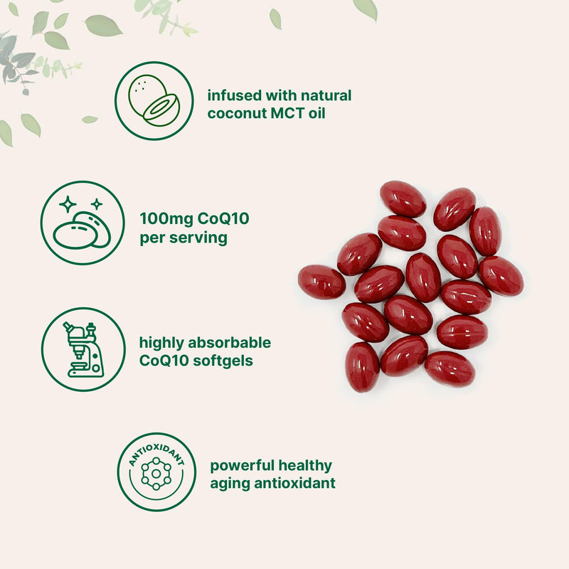 Micro Ingredients CoQ10 100mg Per Serving | 240 Softgels Made with Coconut MCT Oil | High Absorption Coenzyme Q10 as Ubiquinone | Antioxidant Support for Heart & Energy Health | Non-GMO - BeesActive Australia