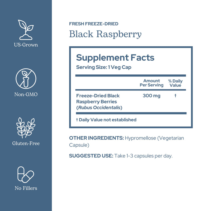 Eclectic Herb - Black Raspberry Capsules | Vegan Superfood Supplement | Nutrition, Vitamins + Minerals | Antioxidant + Immune Support | US-Grown, Natural, Non-GMO, Gluten Free (90 CT | 300 mg)
