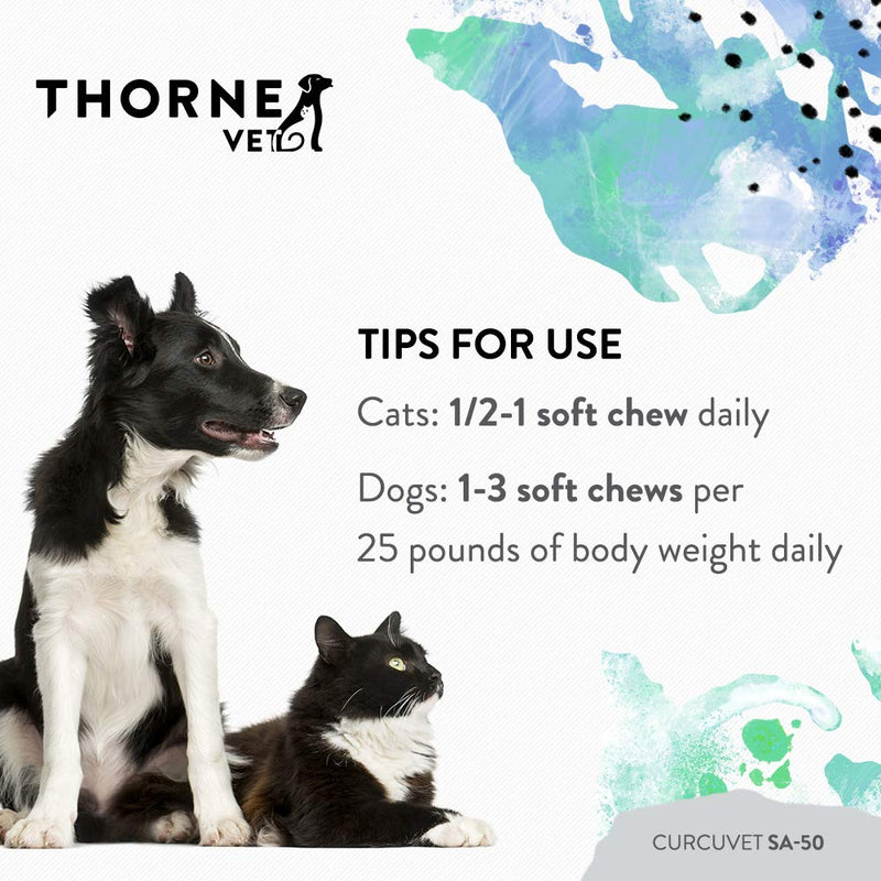 ThorneVet CurcuVET-SA50 – Joint, Muscle, Liver & GI Support for Small Dogs & Cats, 90 Soft Chews - PawsPlanet Australia