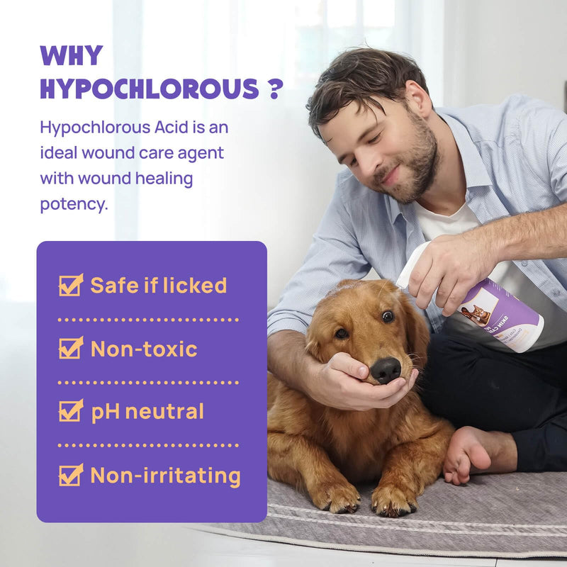 HICC PET Hot Spot Itch Relief Spray for Dogs, Cats - Pet Treatment Spray for Itchy, Irritated Skin, Allergy, Rashes - Lick Safe and Painless Wound Care Spray for All Animals 16 Fl Oz - BeesActive Australia