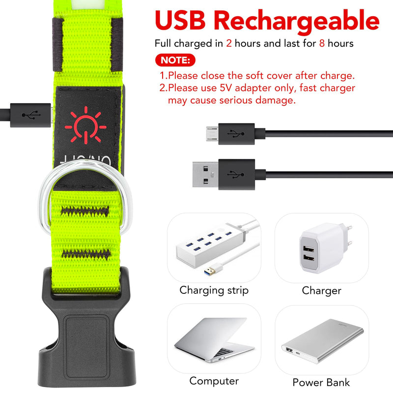Vizpet LED Dog Collar, Light Up Dog Collar Adjustable USB Rechargeable Super Bright Safety Light Glowing Collars for Dogs(Medium,Green) Medium[14.96-19.68 inch/38-50cm] Green - BeesActive Australia